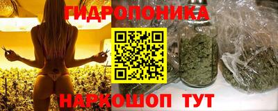 круглые Пугачёв