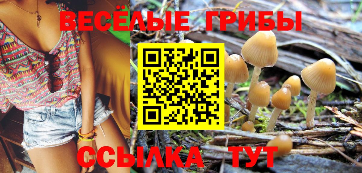 Галлюциногенные грибы Magic Shrooms Сальск