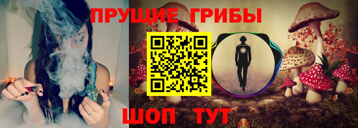 Галлюциногенные грибы MAGIC MUSHROOMS  Вход с VPN  Сальск  Галлюциногенные грибы прущие грибы 